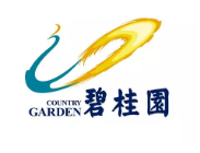 金安碧桂园地产